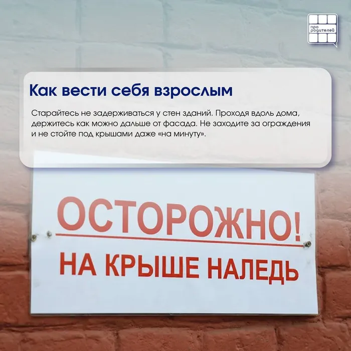 photo_2026-02-03_12-06-21