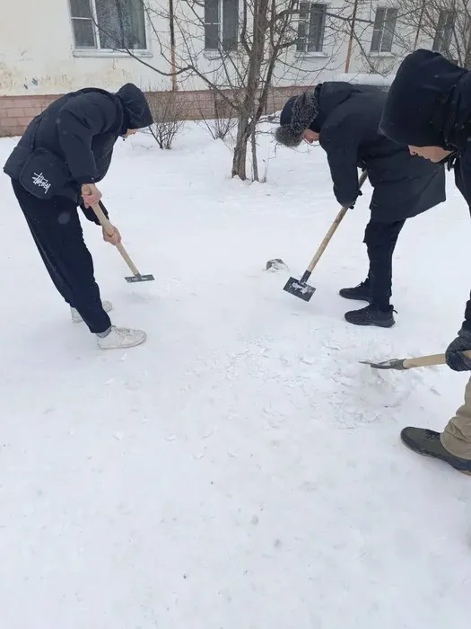 photo_2026-02-10_00-03-46