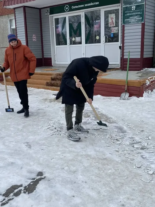 photo_2025-12-25_08-50-15