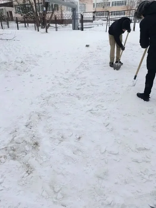 photo_2026-02-10_00-03-57