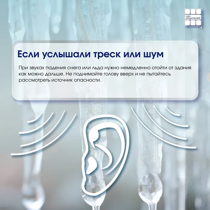 photo_2026-02-03_12-06-28