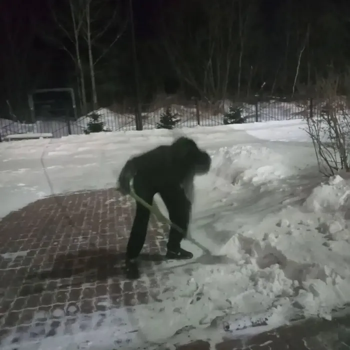 photo_2026-01-19_10-54-55