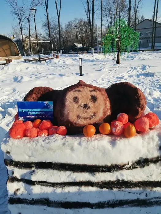 photo_2025-12-22_16-14-17