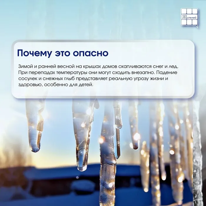 photo_2026-02-03_12-06-10