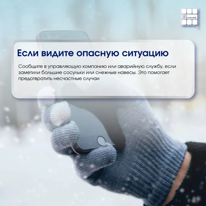 photo_2026-02-03_12-06-34