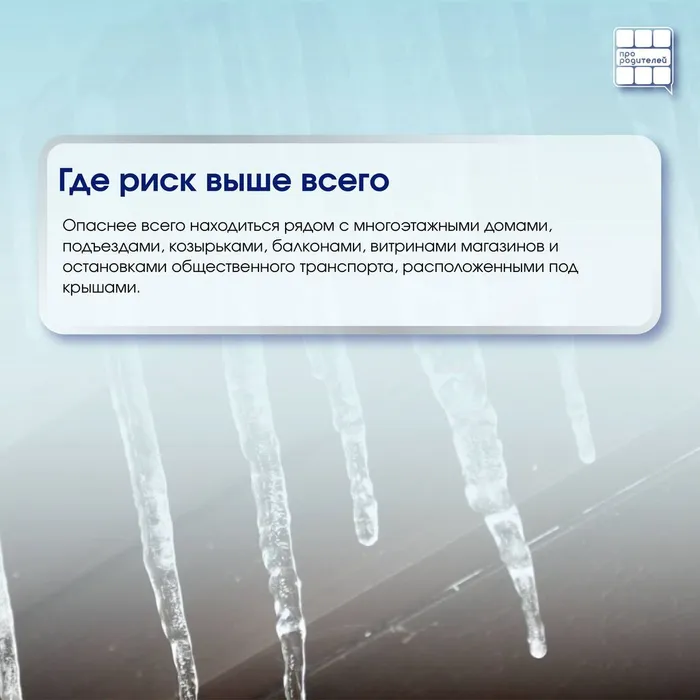 photo_2026-02-03_12-06-14